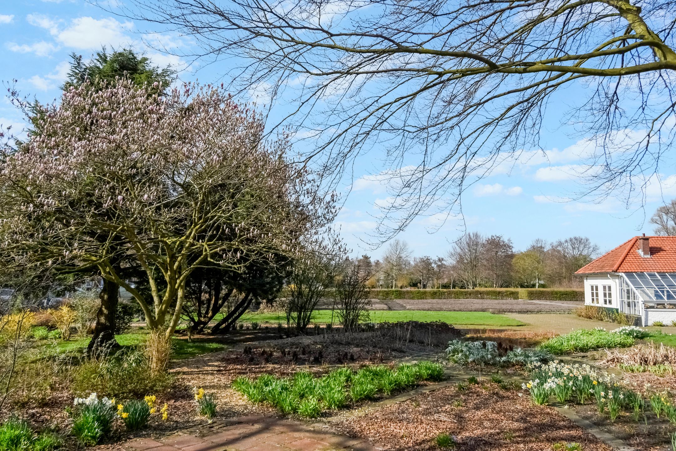 Foto 51 van Kornoeljestraat 14