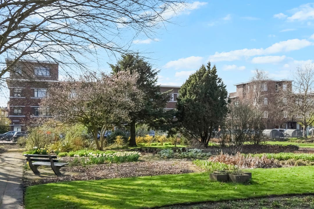 Foto 52 van Kornoeljestraat 14