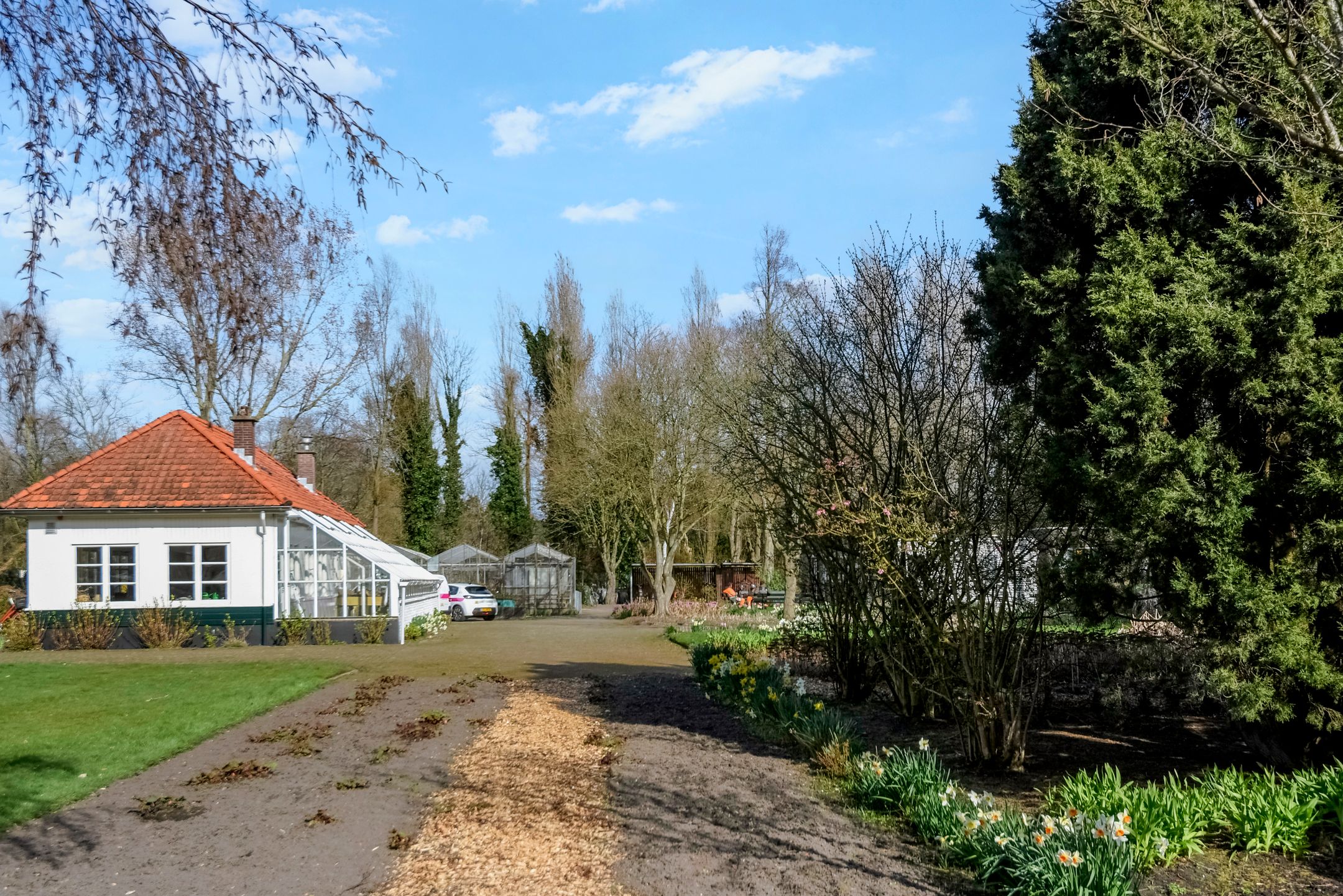 Foto 54 van Kornoeljestraat 14