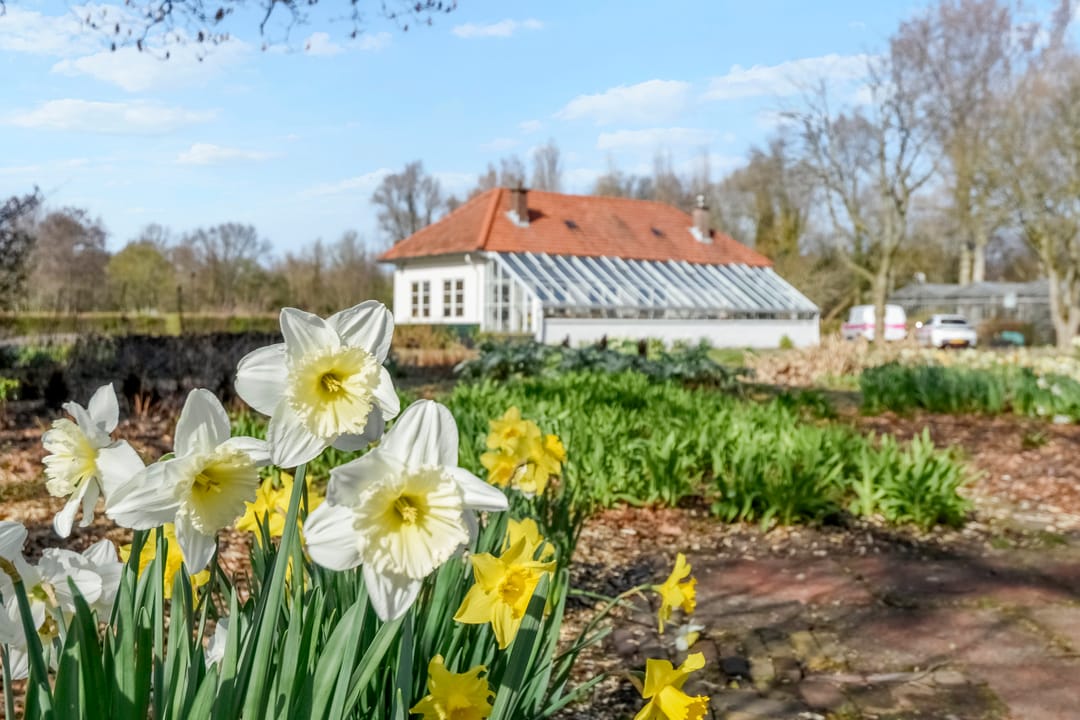 Foto 56 van Kornoeljestraat 14