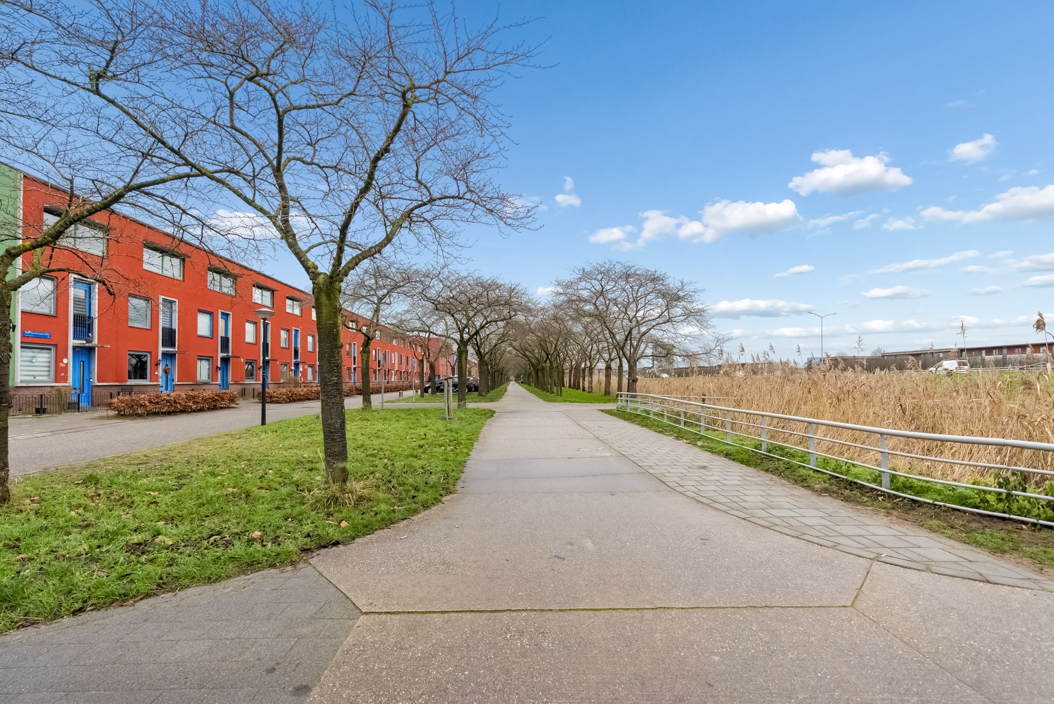 Photo 33 of Sepiastraat 12