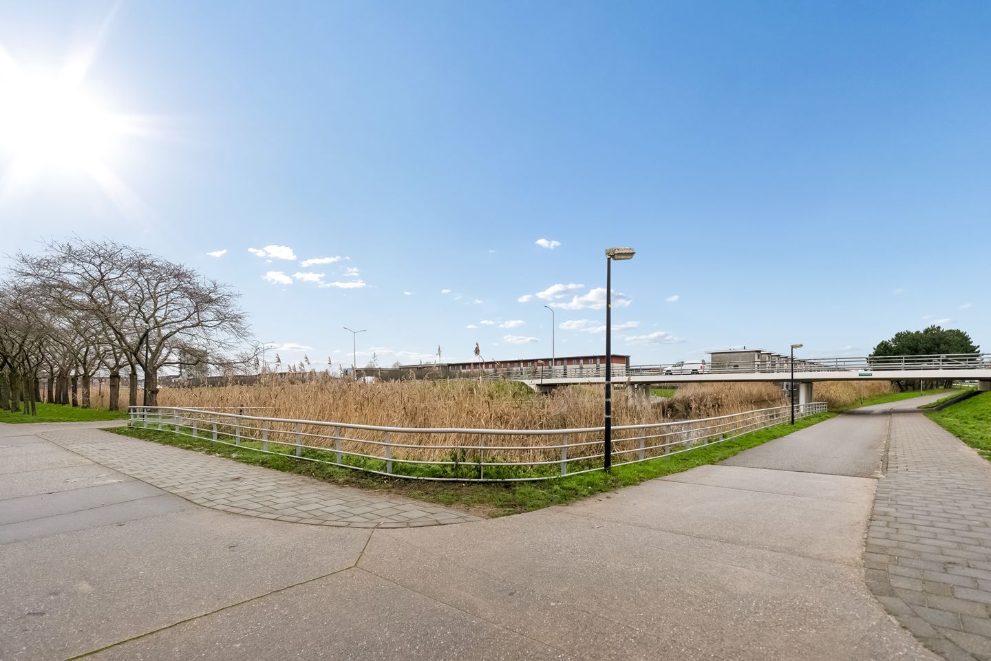 Photo 34 of Sepiastraat 12