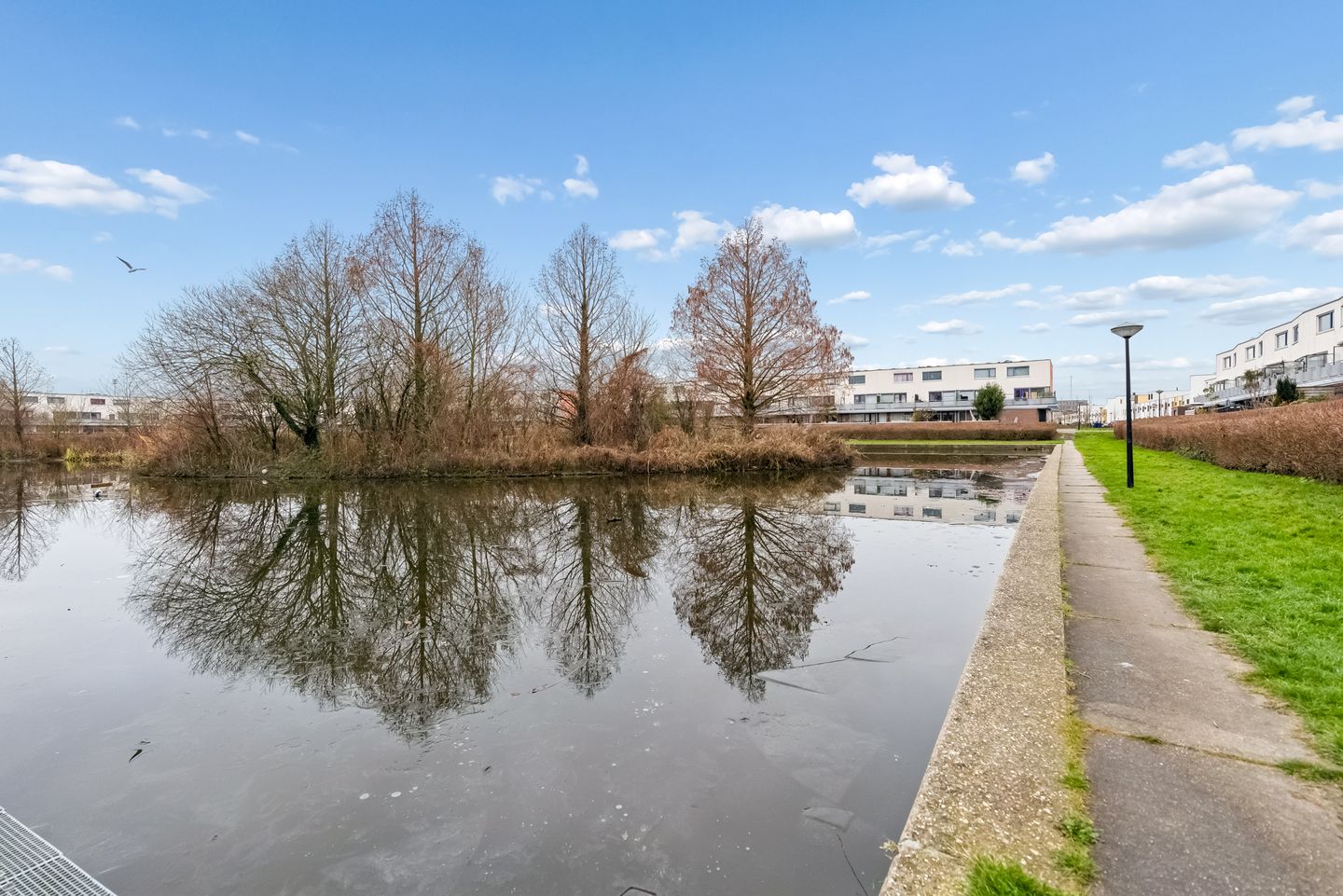 Photo 35 of Sepiastraat 12