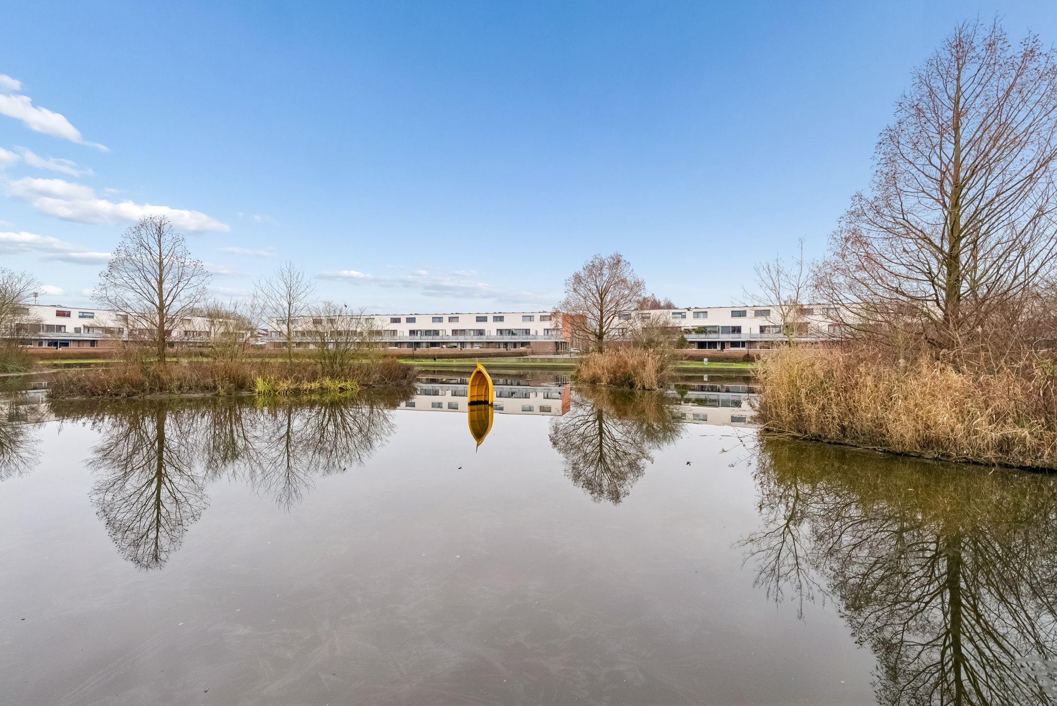 Photo 36 of Sepiastraat 12