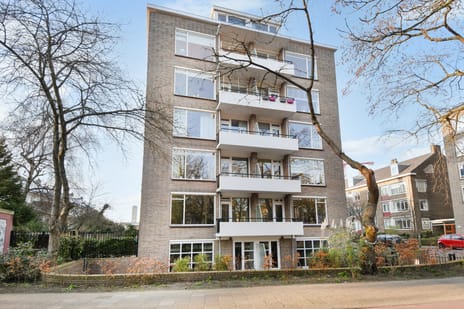 Mariastraat thumbnail