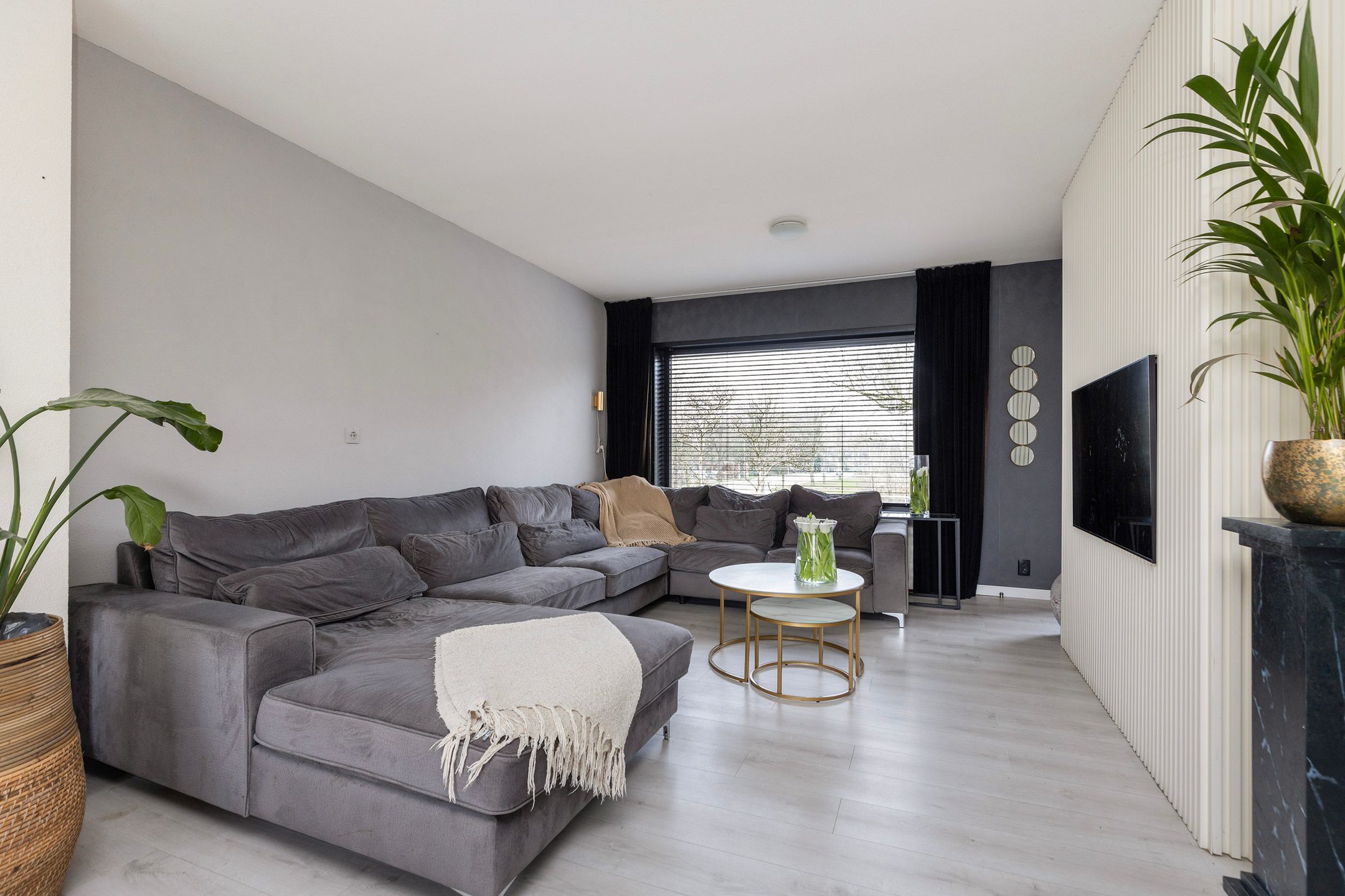 Photo 9 of Tromplaan 6