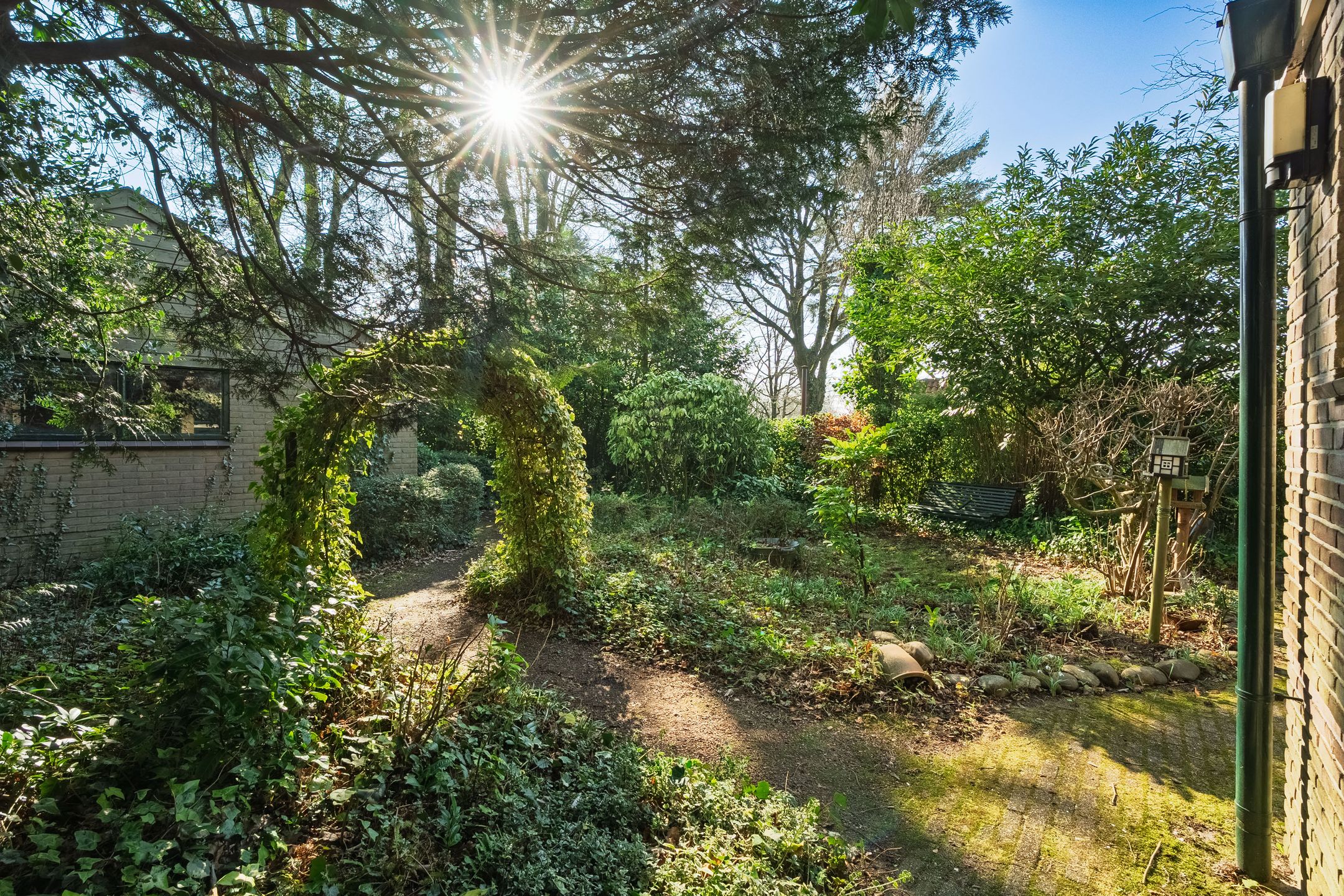 Photo 30 of Burgemeester Prinslaan 14