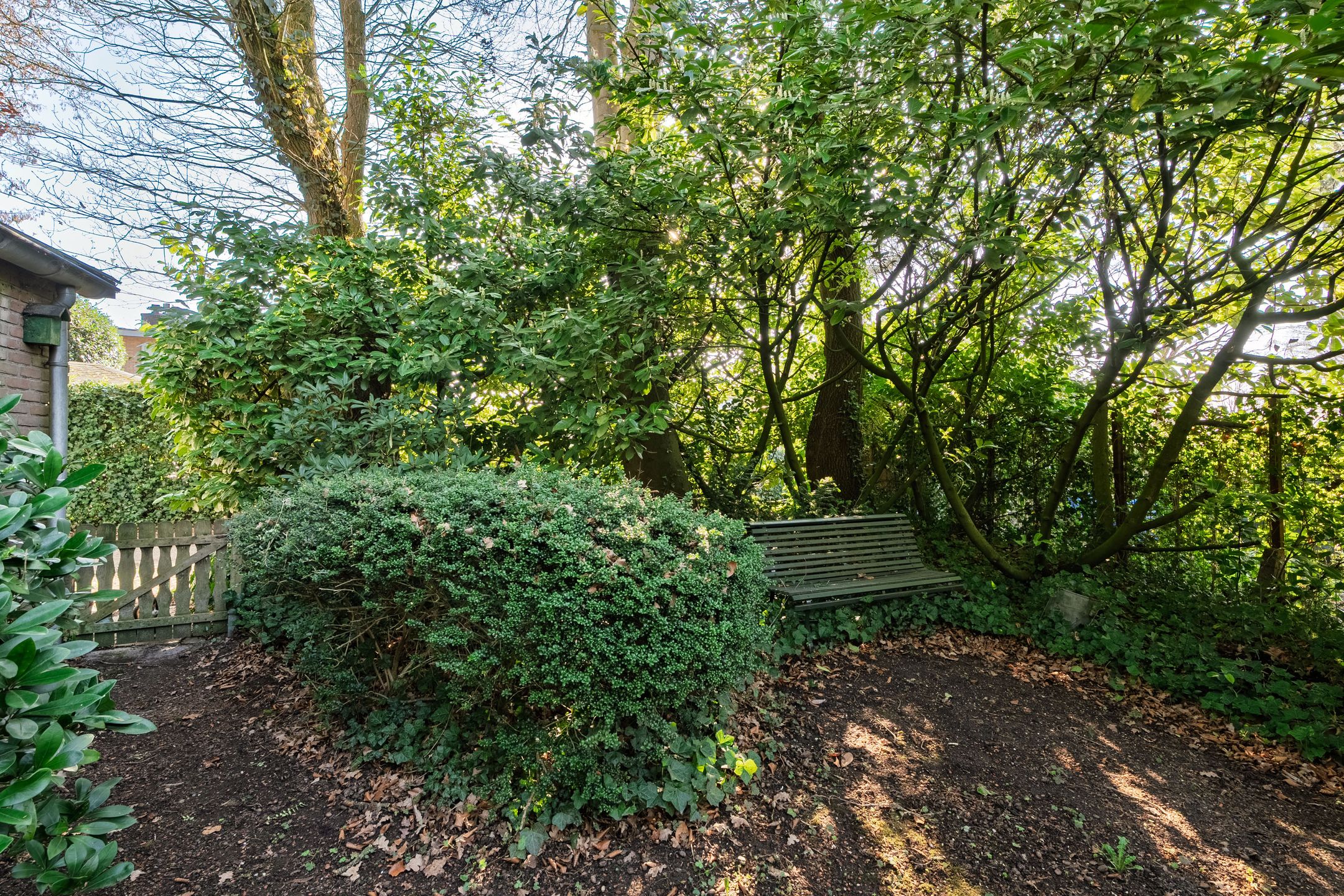 Photo 33 of Burgemeester Prinslaan 14