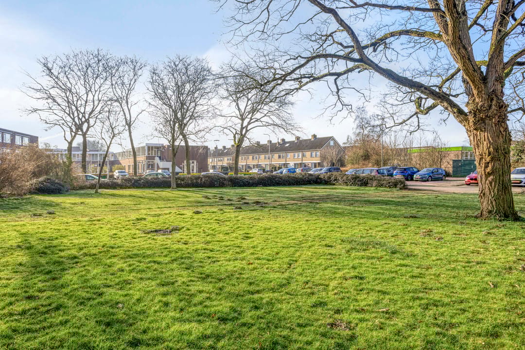 Foto 31 van Scheerling 229