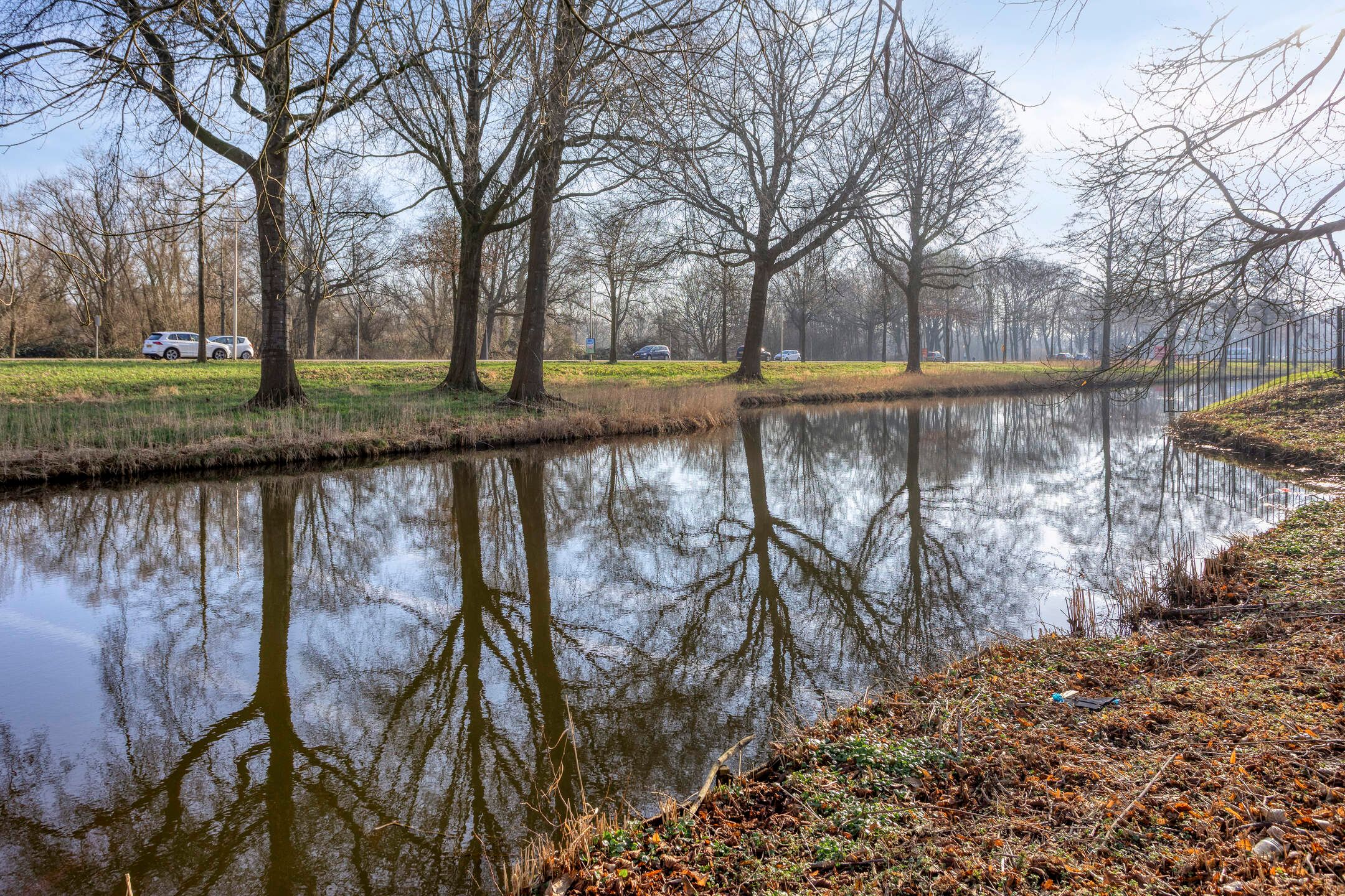 Foto 33 van Scheerling 229