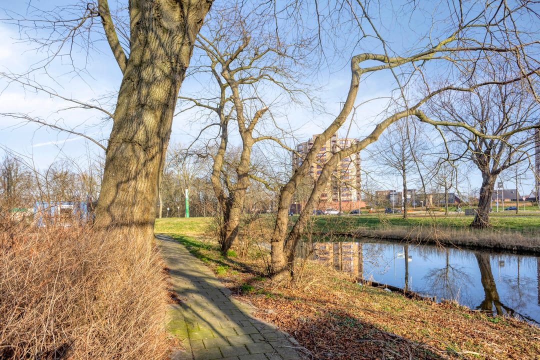 Foto 32 van Scheerling 229