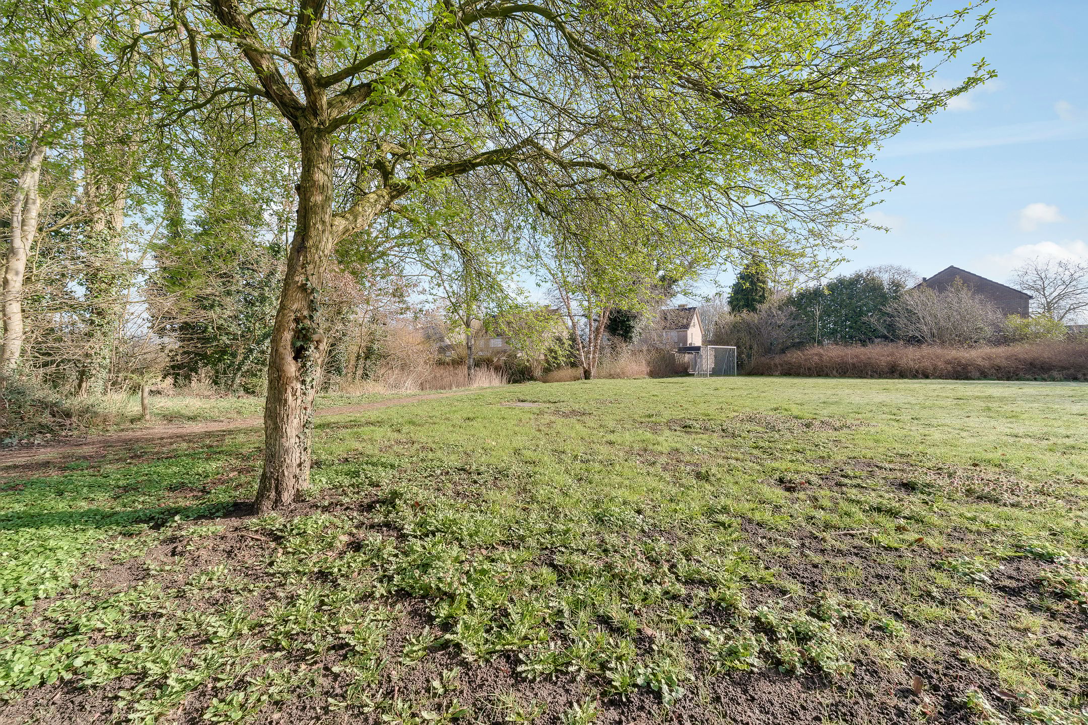 Foto 27 van Waalstraat 8