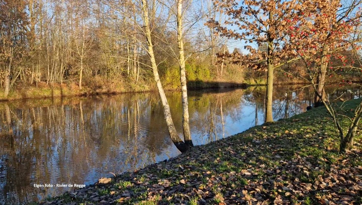 Foto 29 van Waalstraat 8