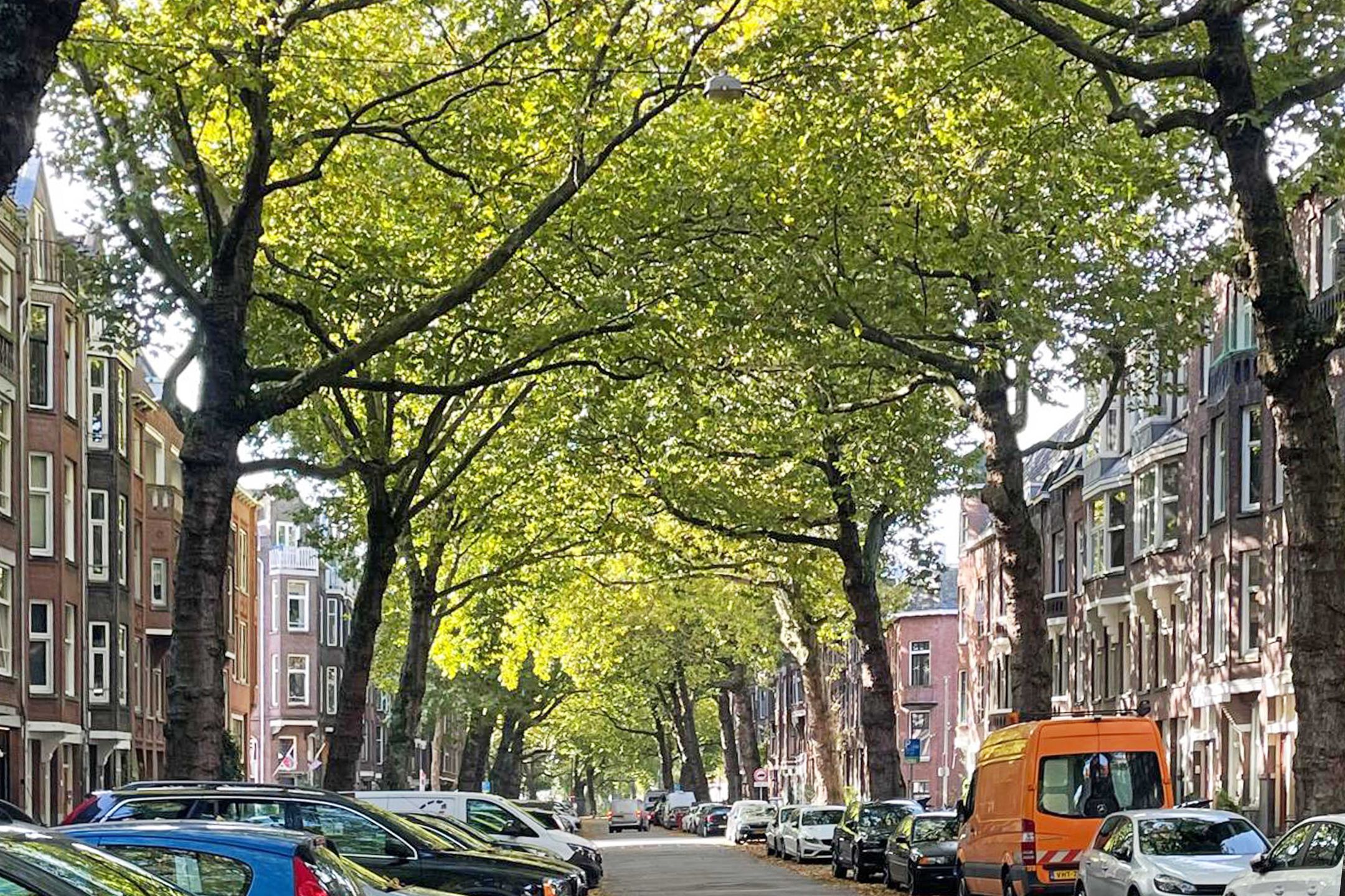 Foto 42 van Graaf Florisstraat 76-B