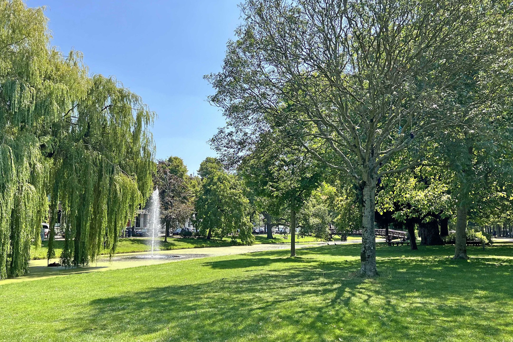 Foto 45 van Graaf Florisstraat 76-B