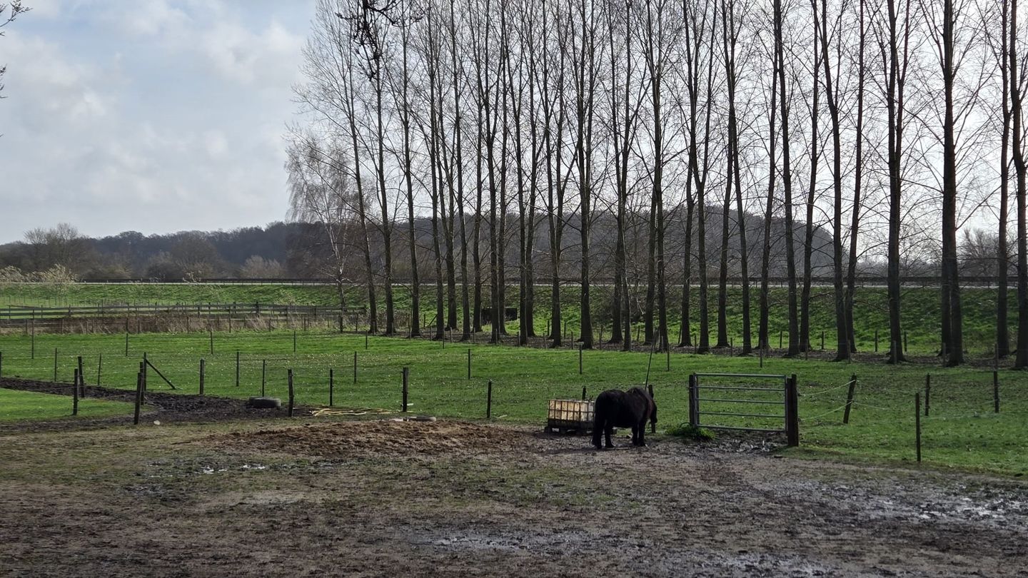 Foto 14 van Groeneweg 2-B