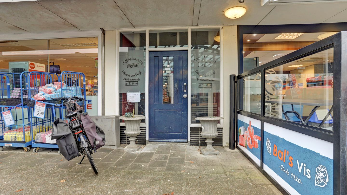 Foto 5 van Vincent van Goghplein 48