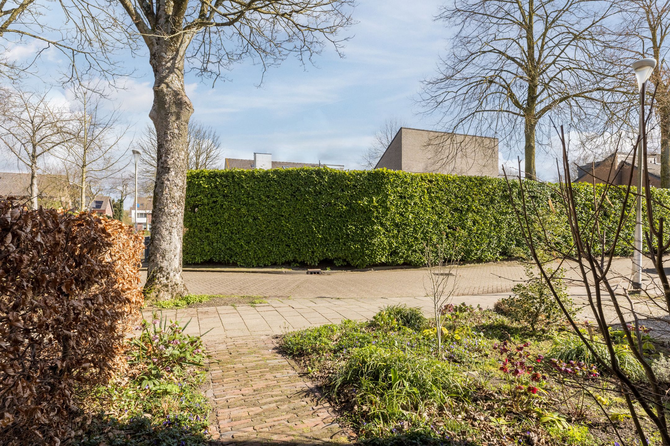 Photo 6 of Lijsterbeslaan 29