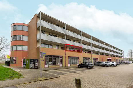 undefined main image