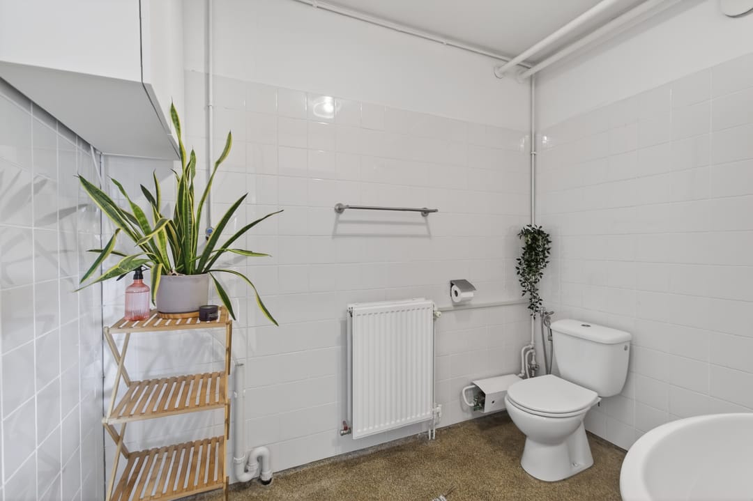 Foto 22 van Olifantswerf 5