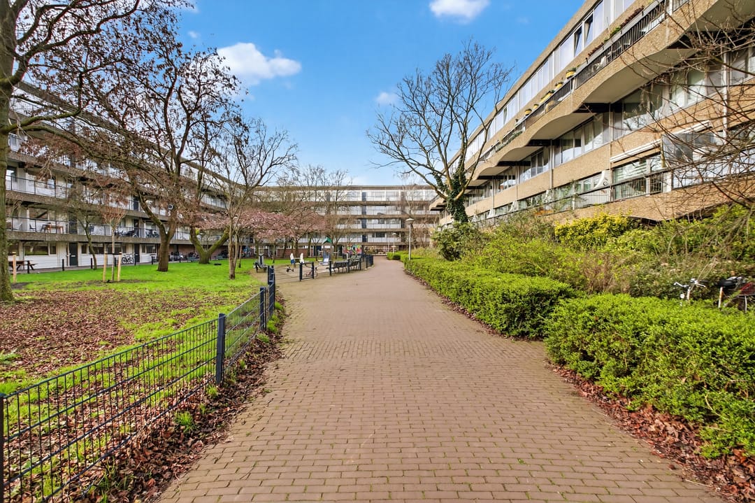 Foto 31 van Olifantswerf 5