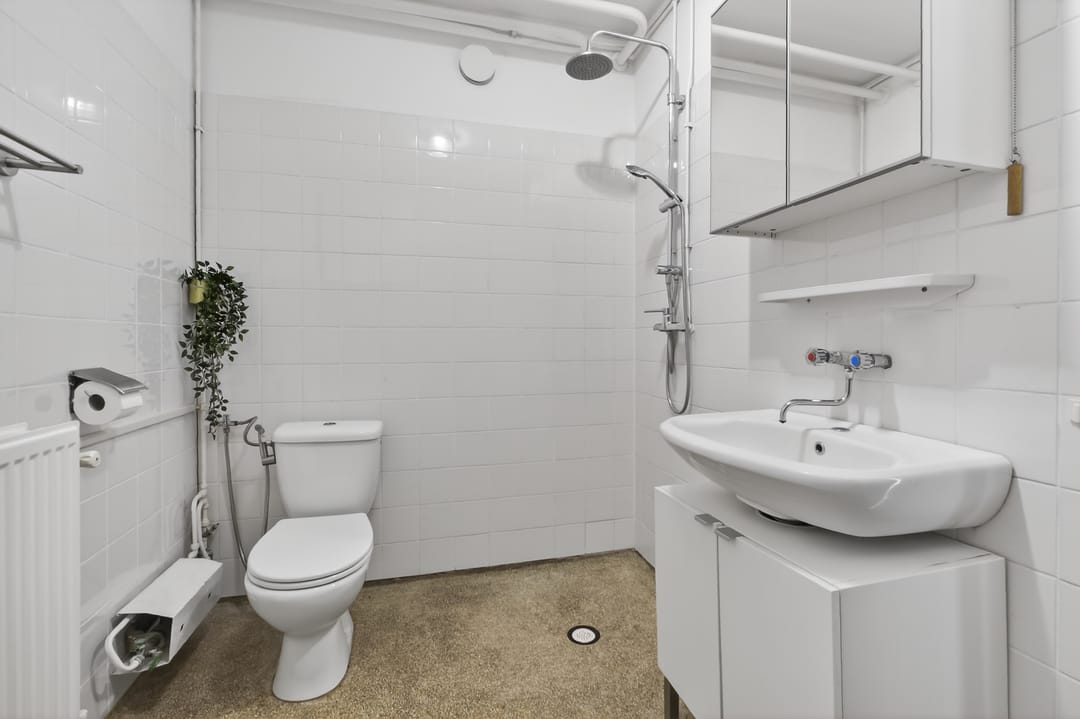 Foto 23 van Olifantswerf 5