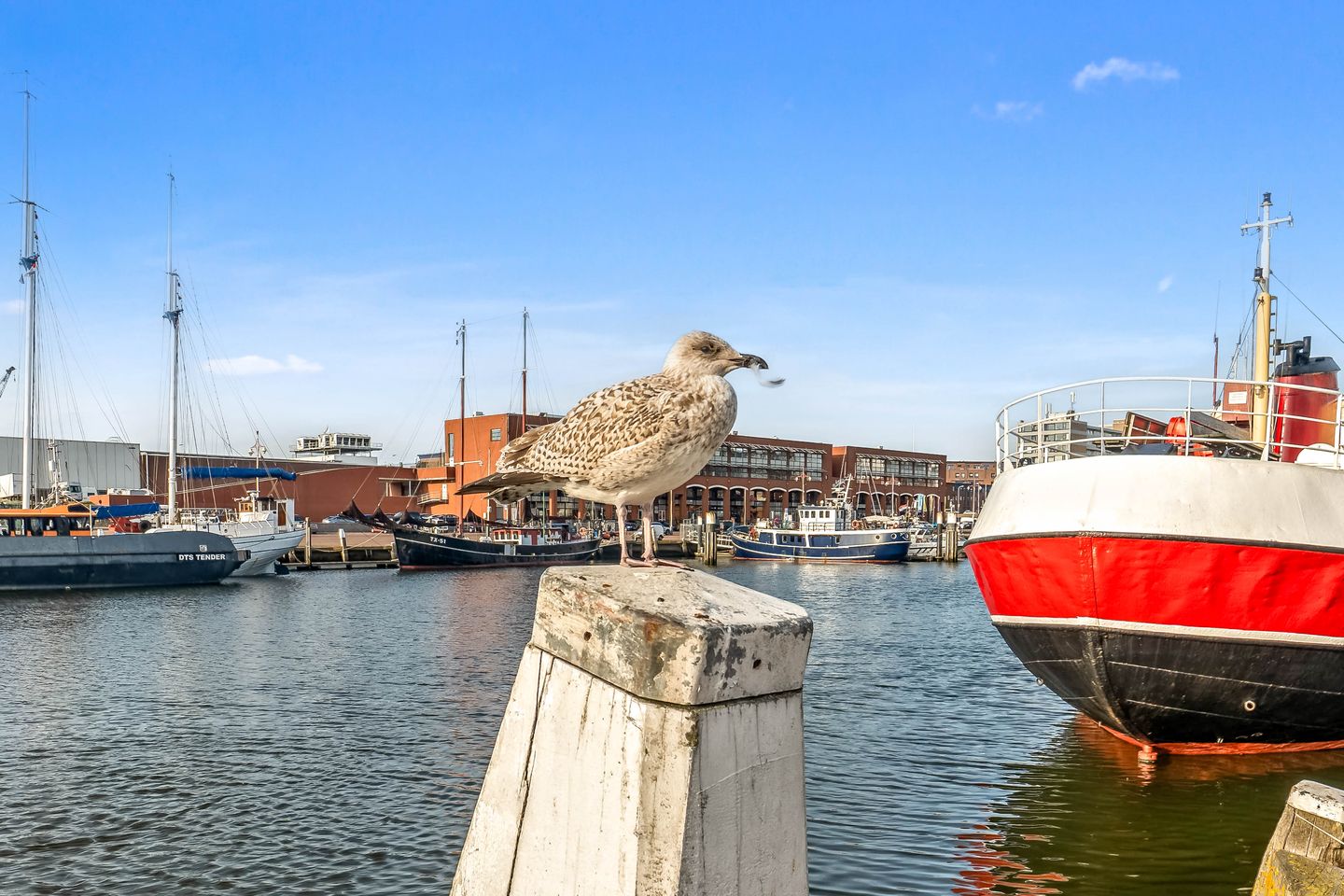 Foto 55 van Badhuisweg 64-A