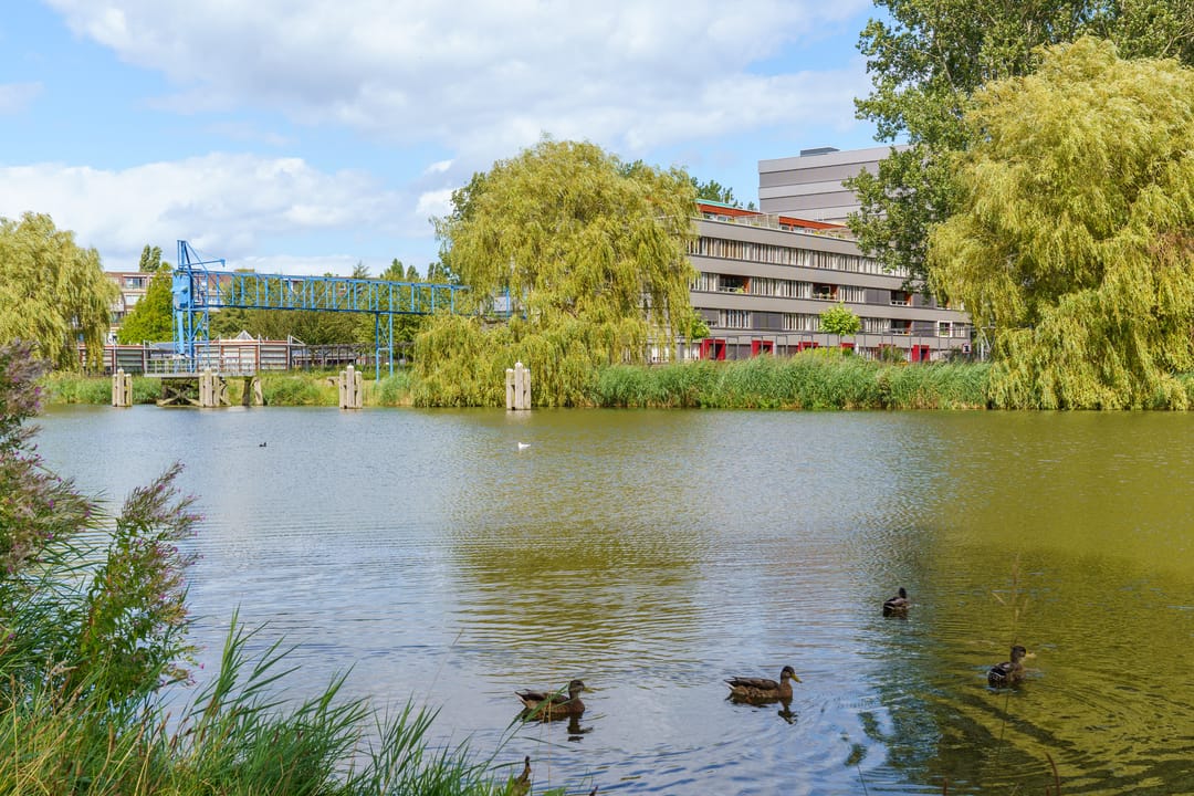 Foto 38 van Charlotte van Pallandtlaan 12