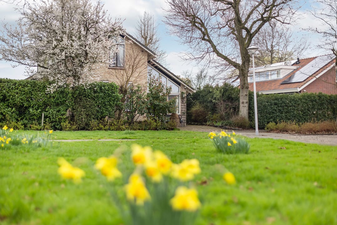 Foto 7 van Meresteijn 1