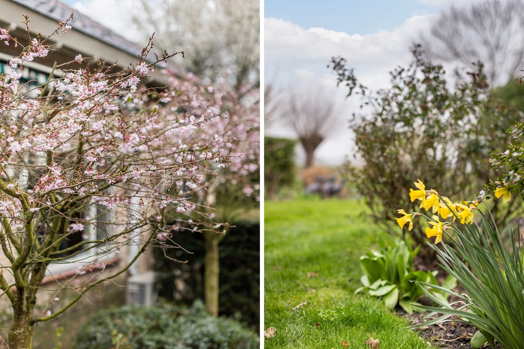 Foto 22 van Meresteijn 1