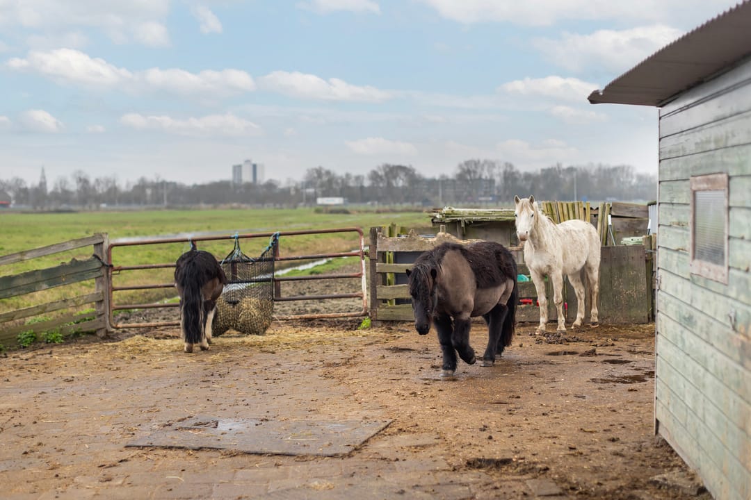 Foto 26 van Meresteijn 1