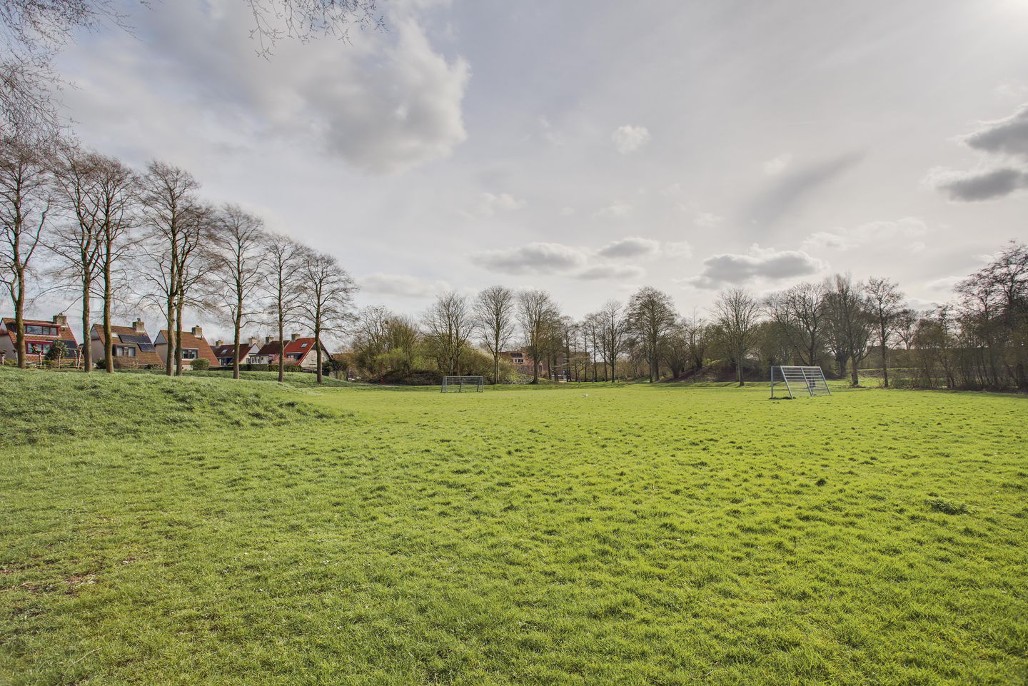 Photo 55 of Ponyweide 98