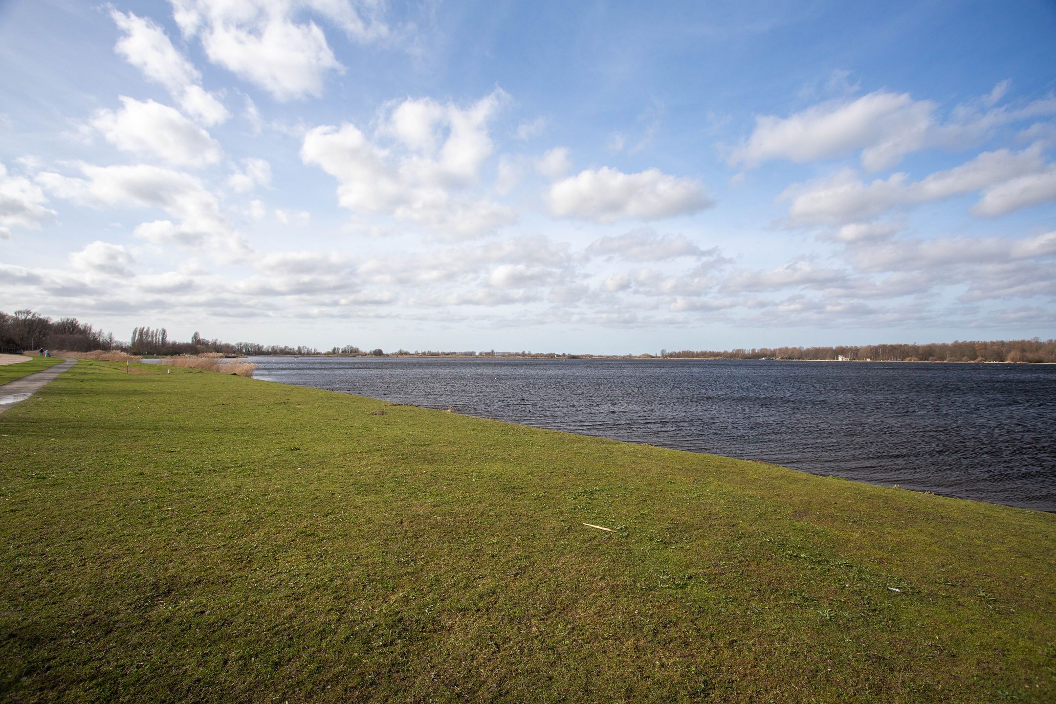 Photo 57 of Ponyweide 98