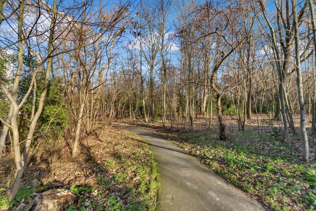 Photo 38 of Heliotrooplaan 254