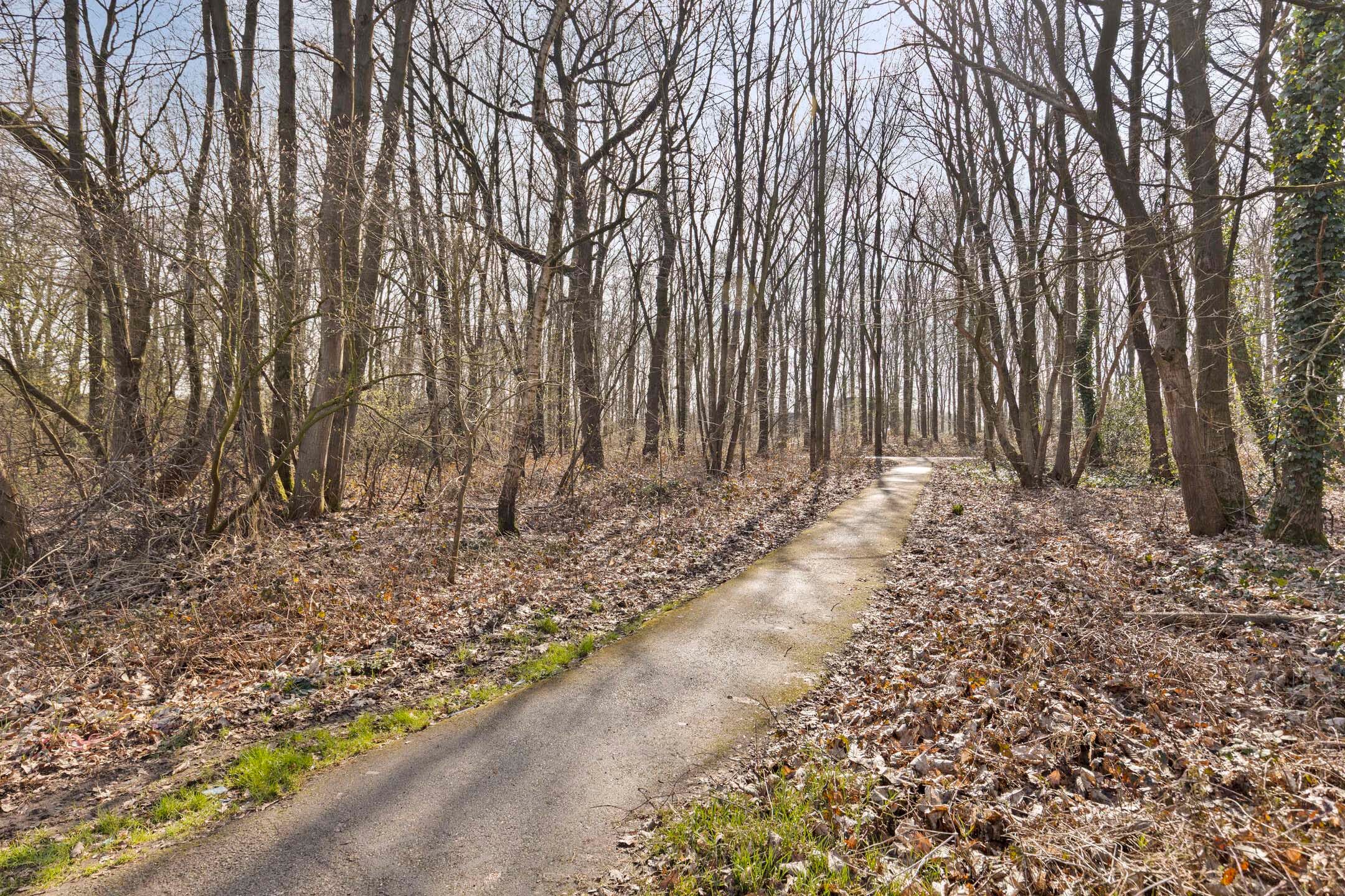 Foto 45 van Oudelaan 2214