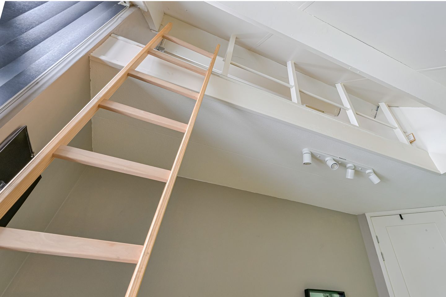 Foto 29 van Zwarte Dolfijn 27