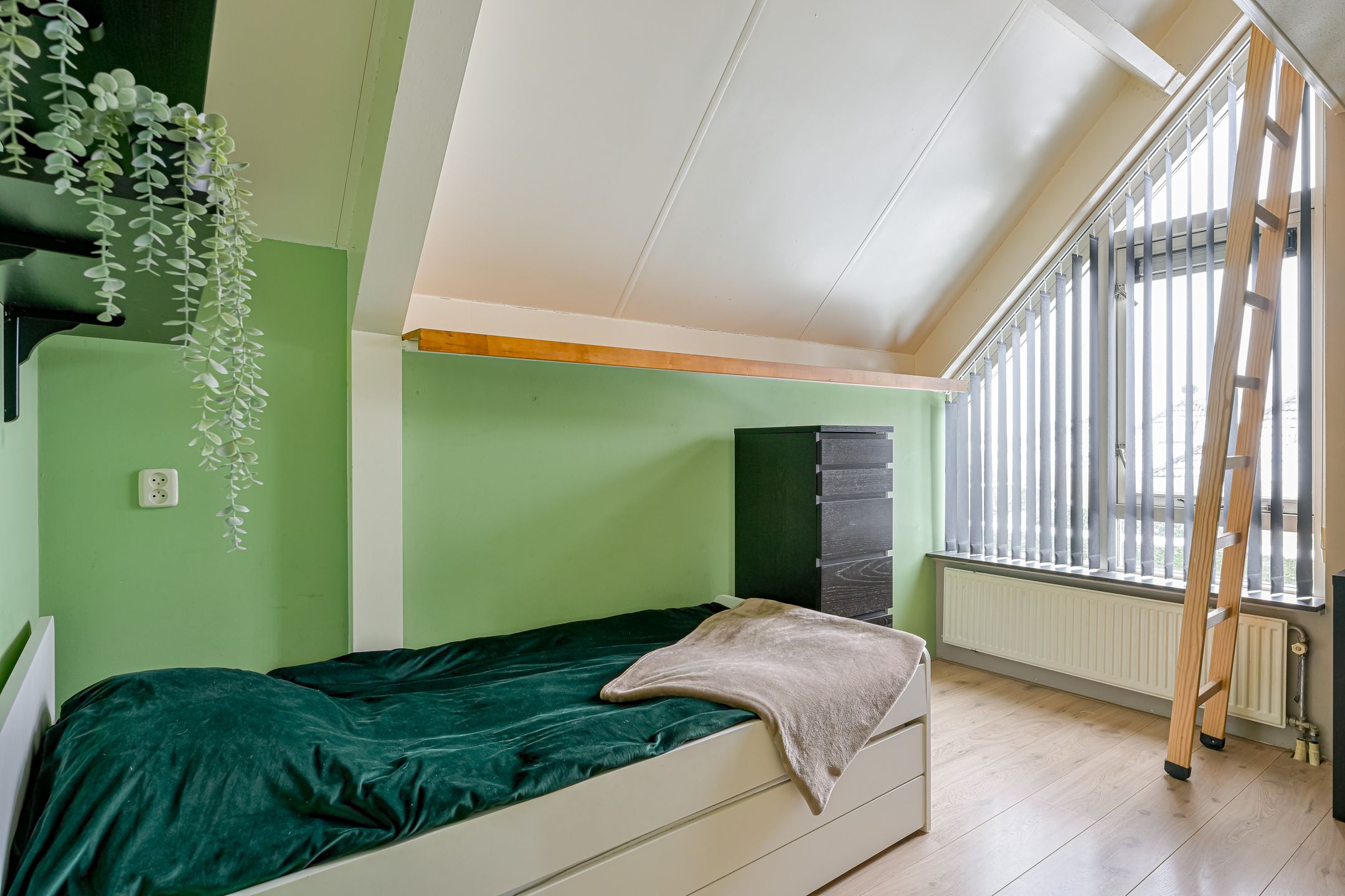 Foto 27 van Zwarte Dolfijn 27