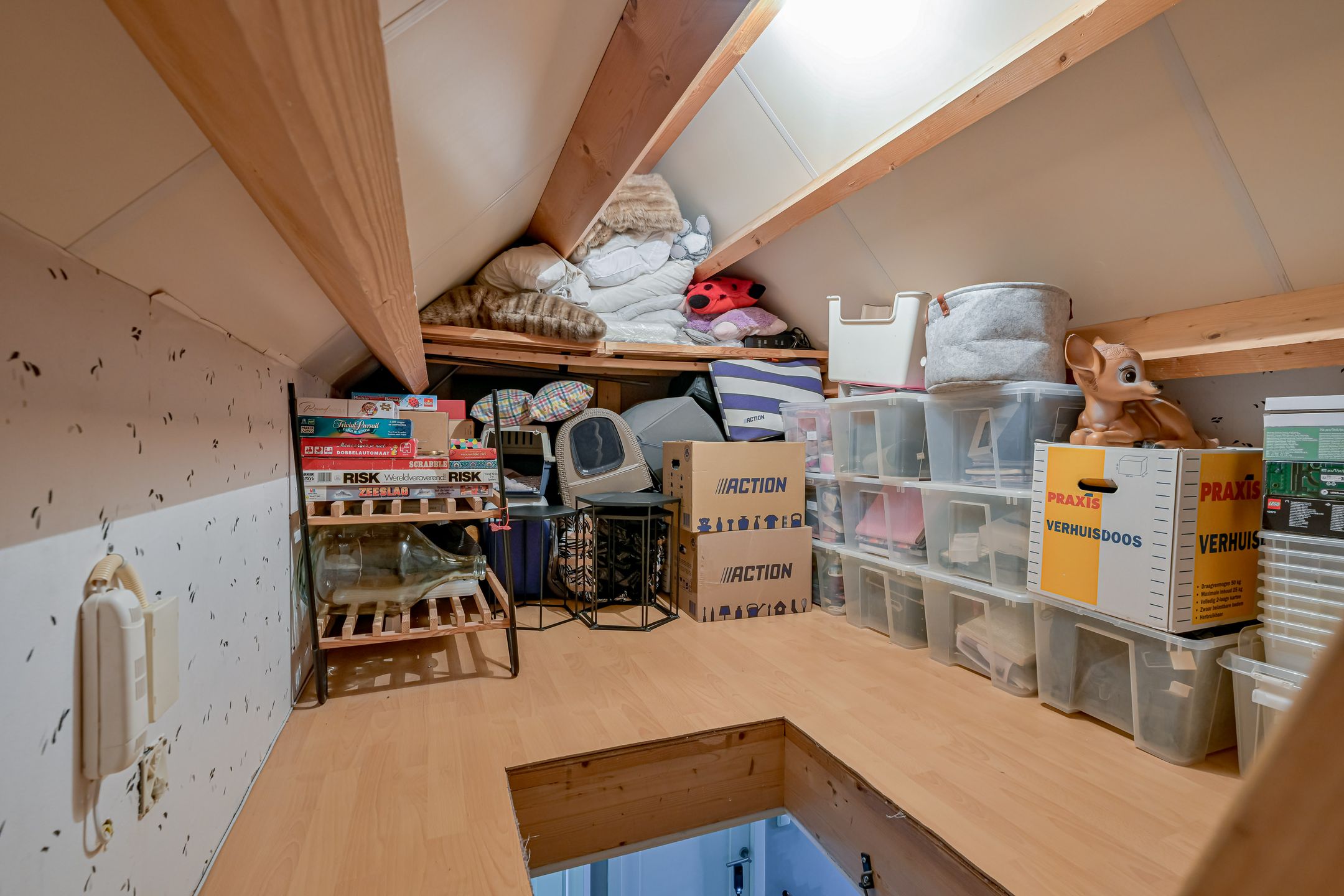 Foto 36 van Zwarte Dolfijn 27