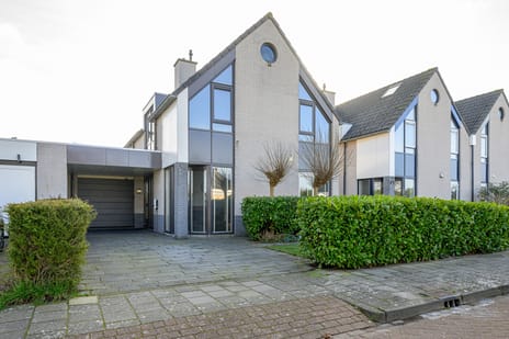 Zwarte Dolfijn thumbnail