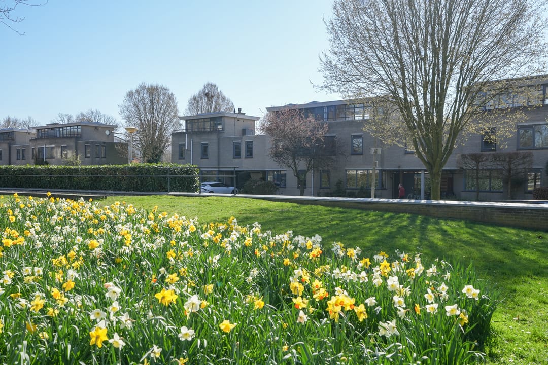 Photo 2 of Rode Kruislaan 15