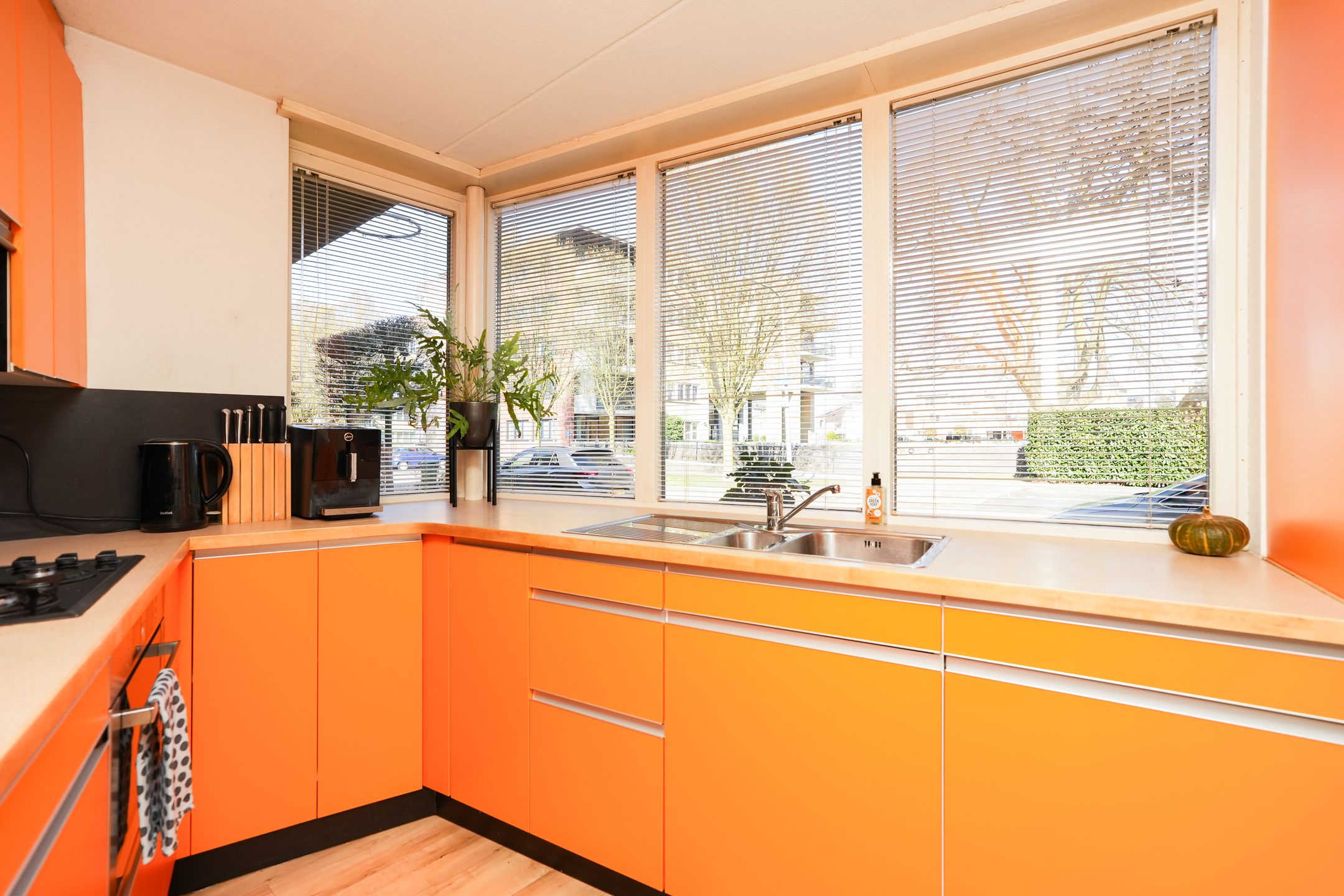 Photo 18 of Rode Kruislaan 15