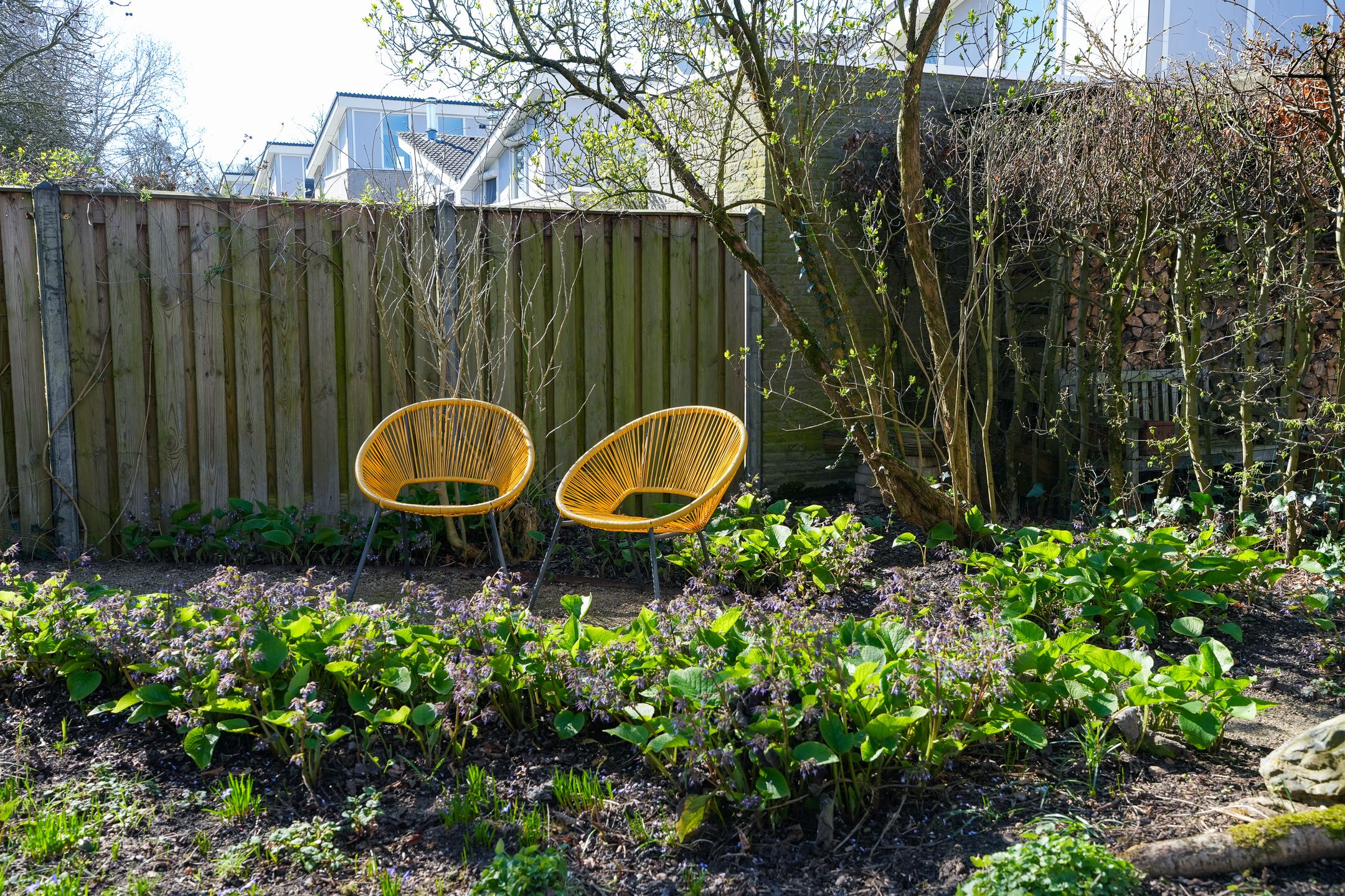 Photo 45 of Rode Kruislaan 15