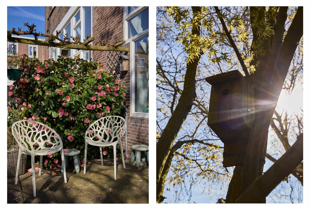 Foto 31 van Havikstraat 45-E