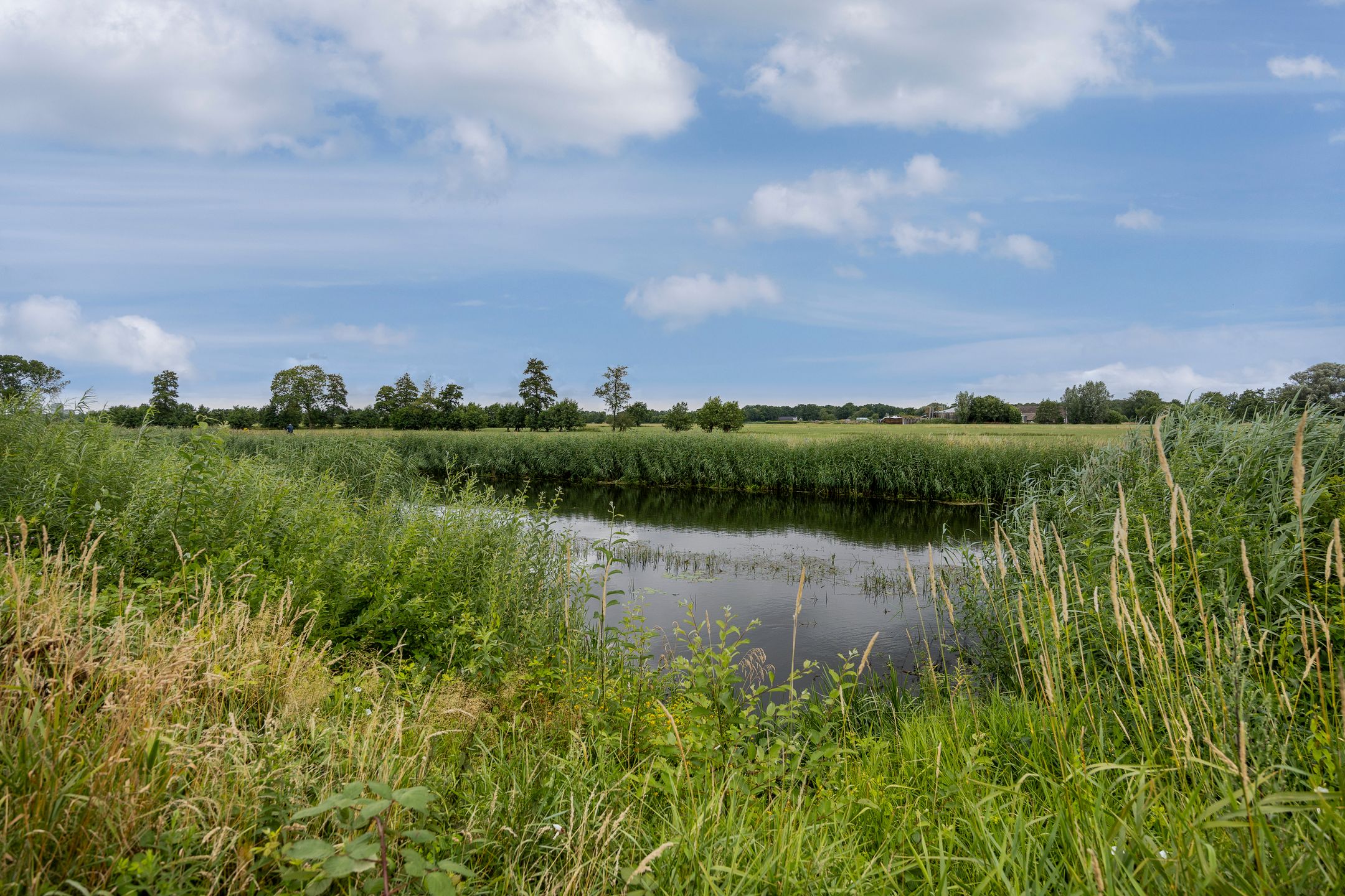 Foto 39 van Havezathelaan 4