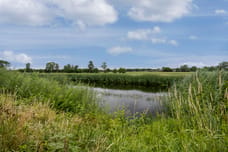 Image of Havezathelaan 4 - Second image