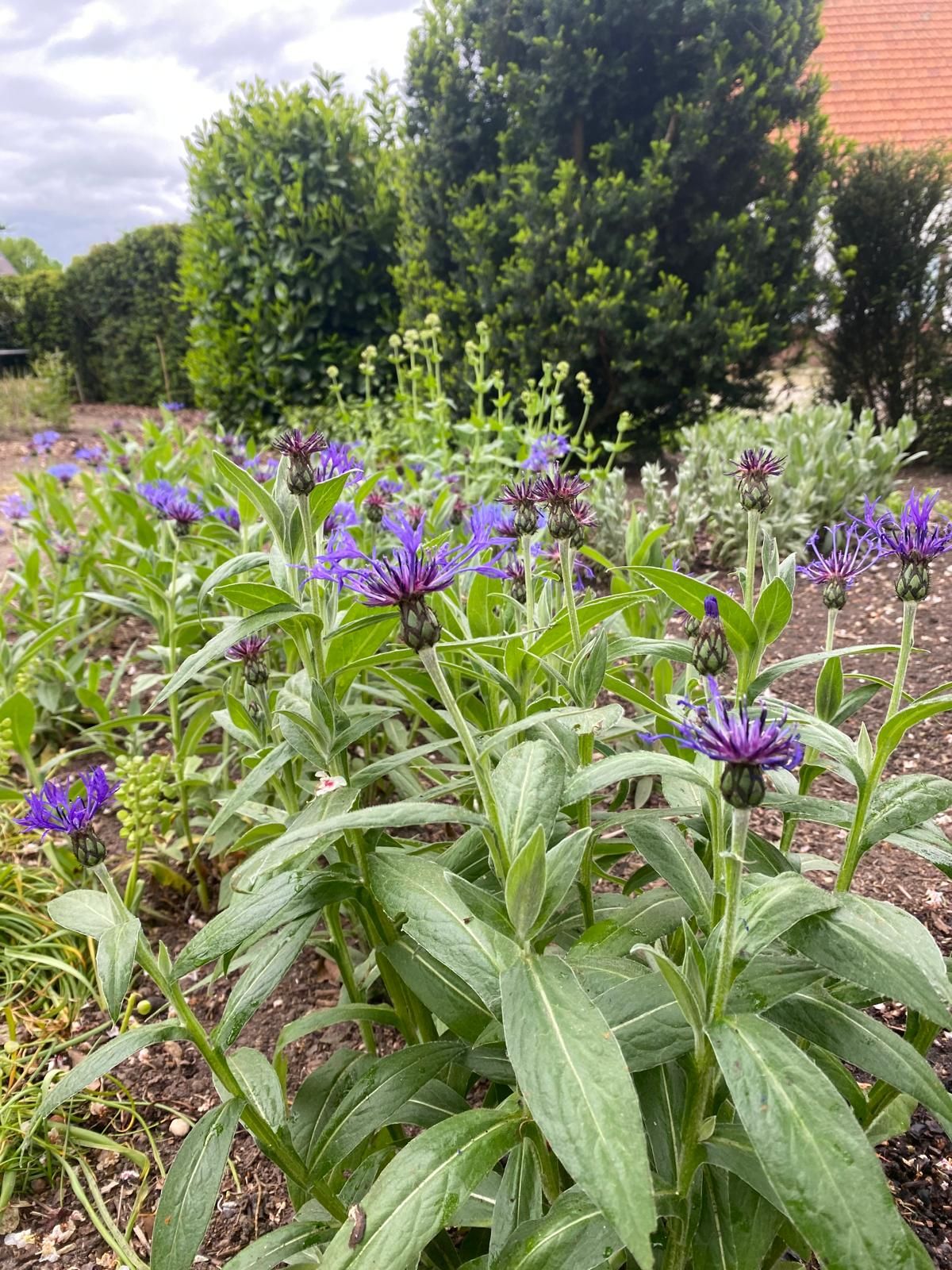 Foto 45 van Molenstraat 10