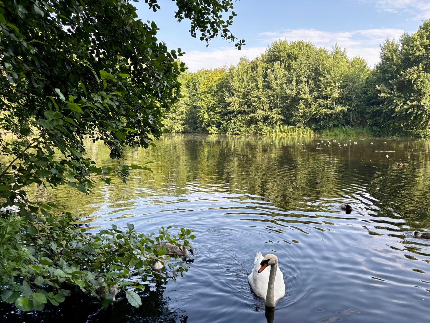 Foto 34 van Laan van Meerdervoort 1608