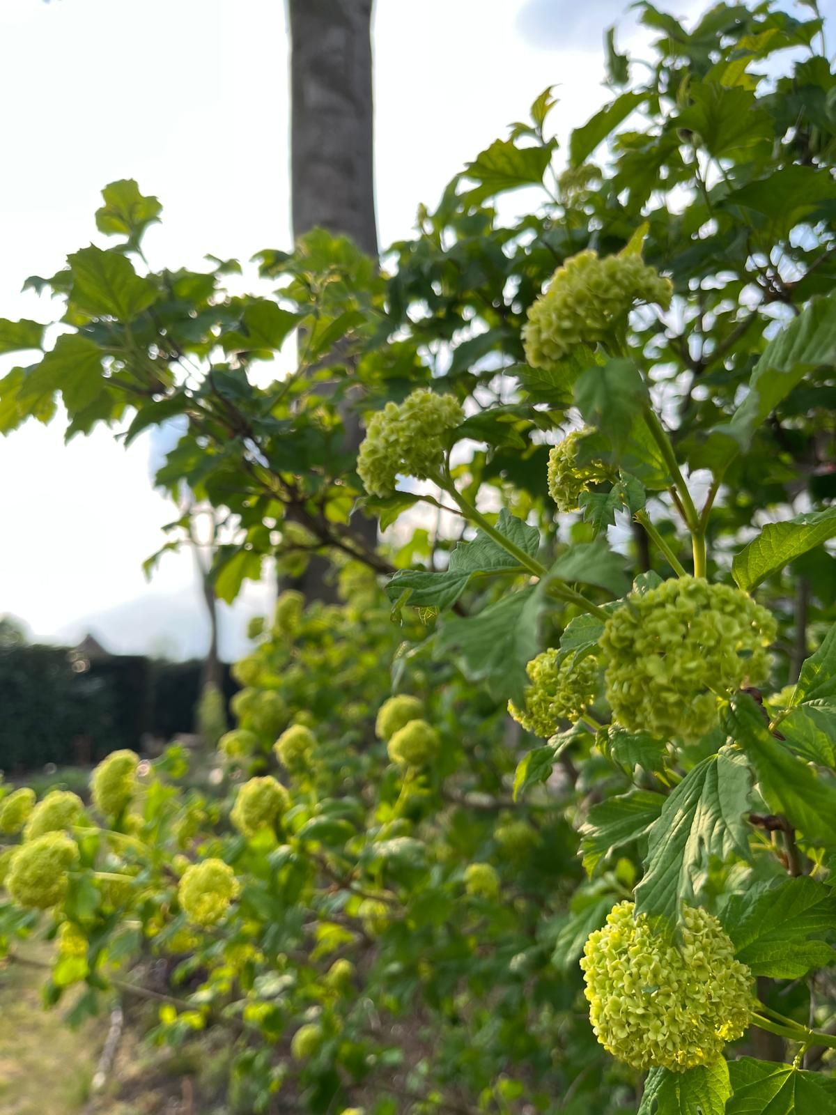 Foto 44 van Molenstraat 10