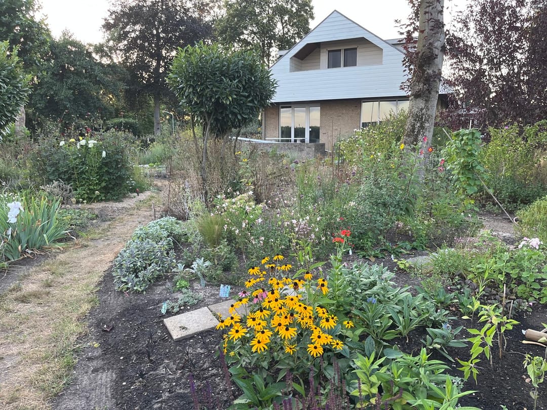 Foto 46 van Molenstraat 10