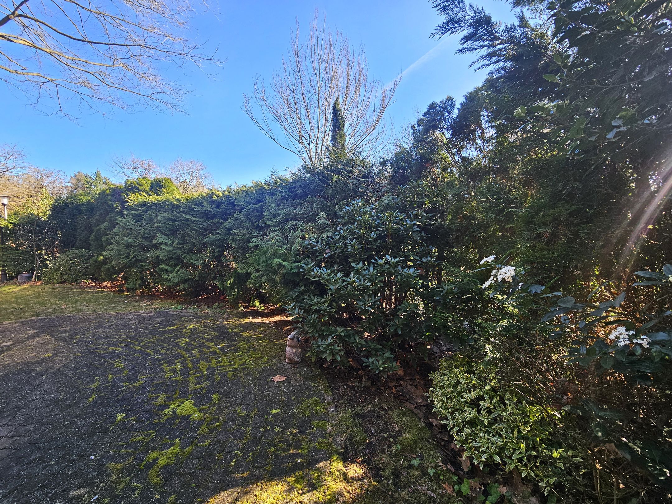 Photo 21 of Boslaan 2-A19